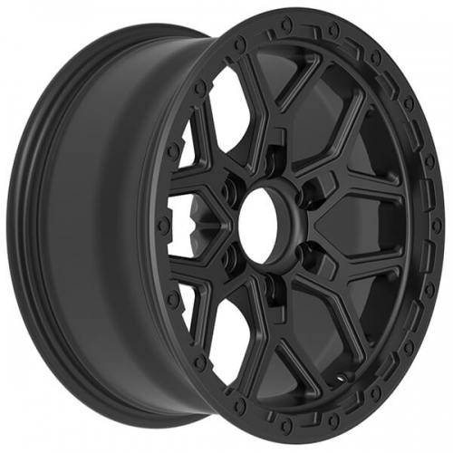 tank 300 rims
